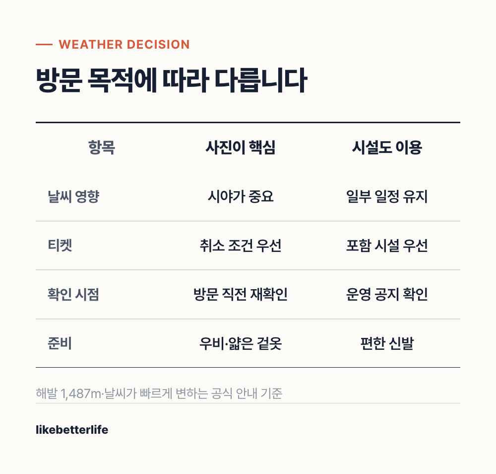 바나힐 날씨별 선택