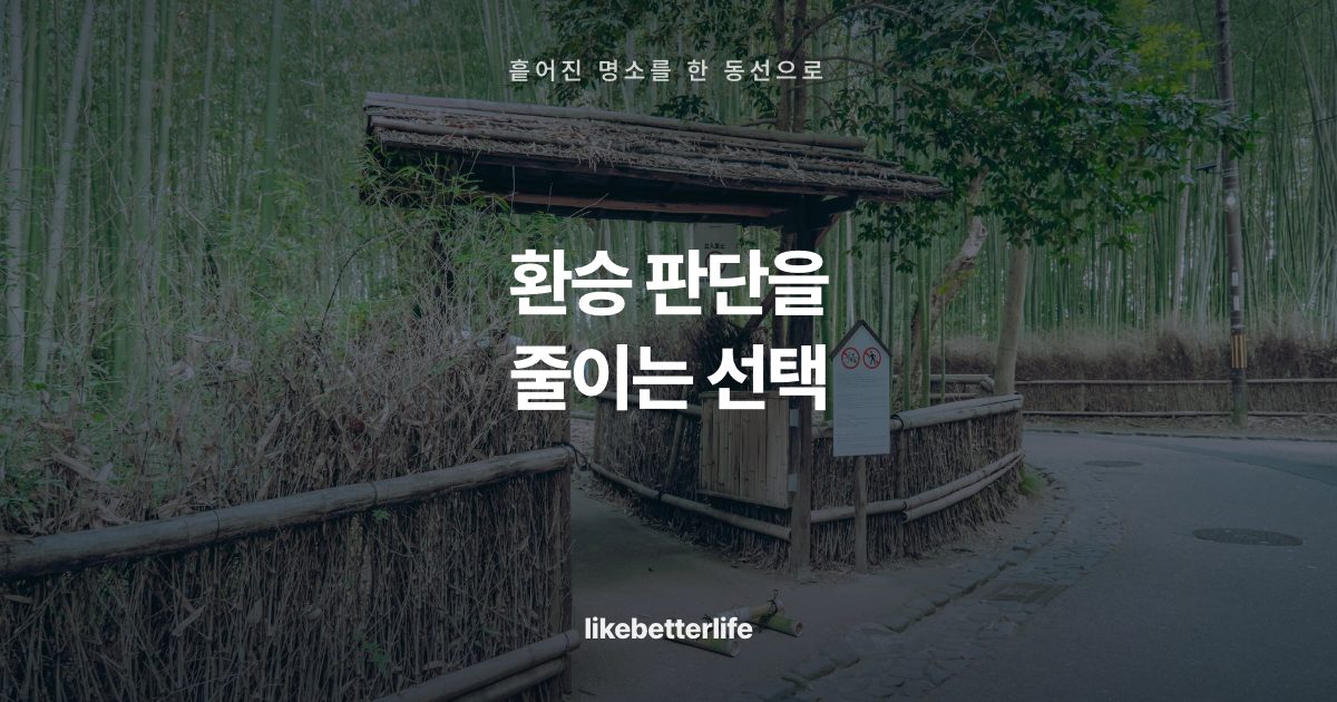 환승 판단을
줄이는 선택