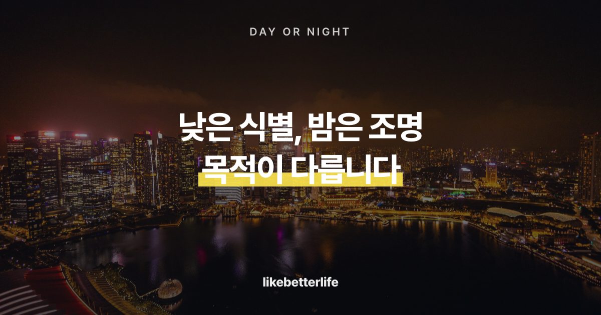 마리나베이 야경과 리버크루즈