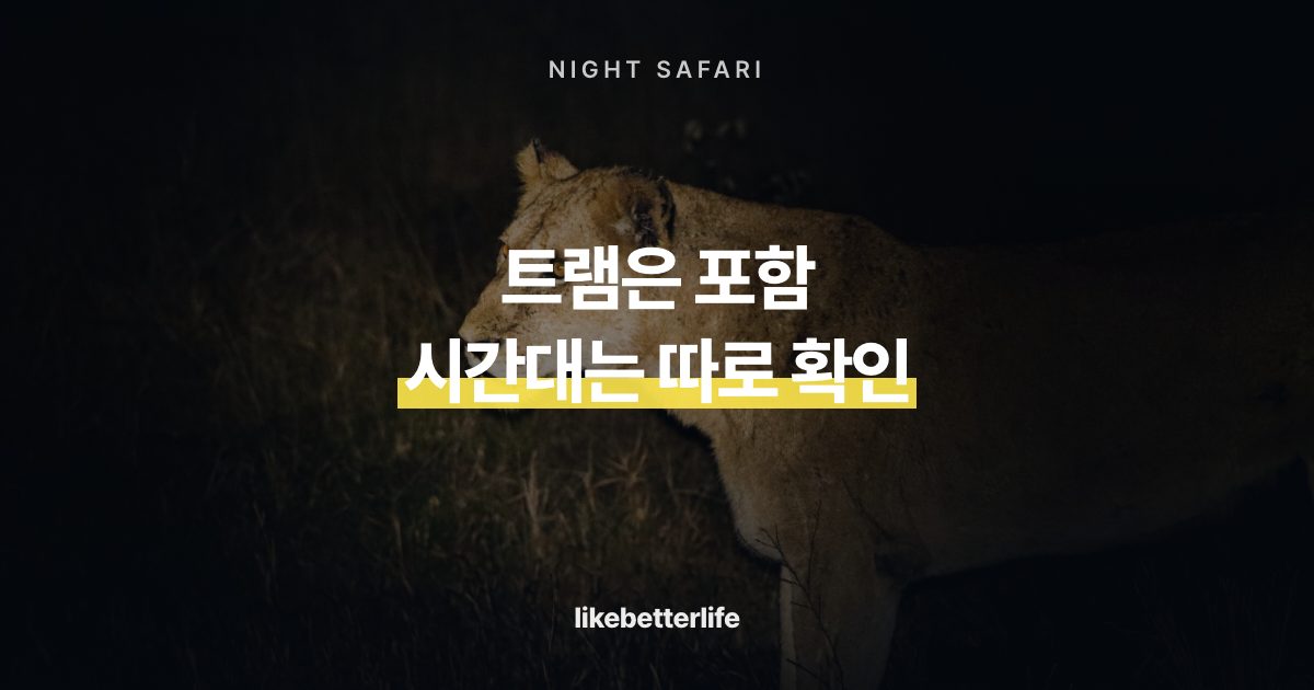 나이트 사파리 야간 관람