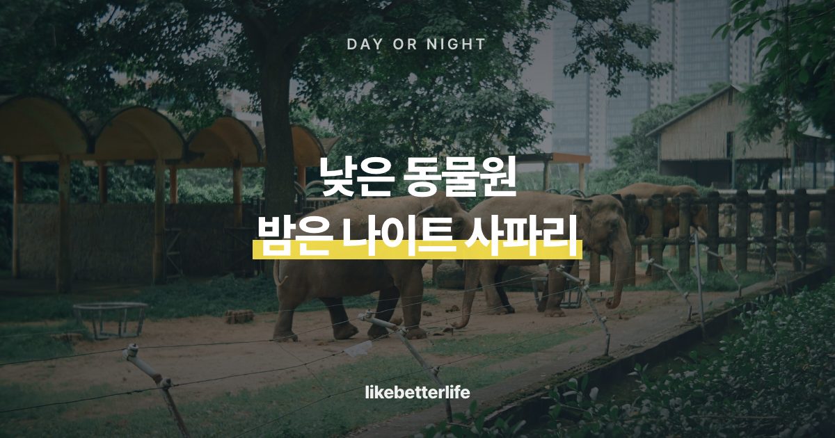 싱가포르 동물원 낮 관람